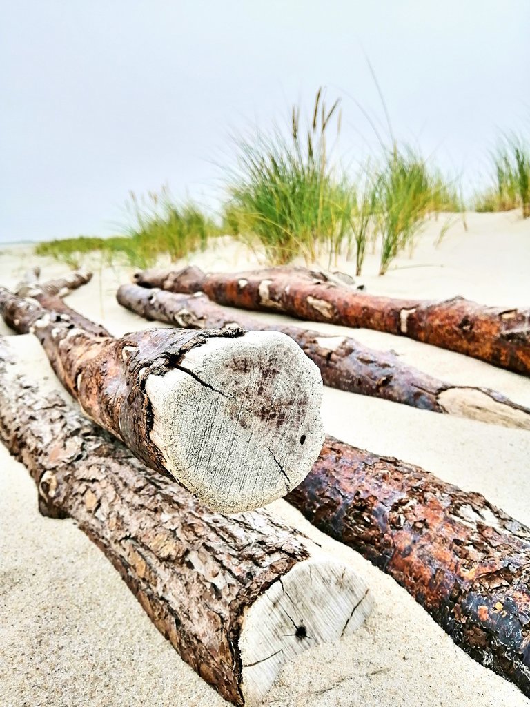 Fotor_156441310464793.jpg