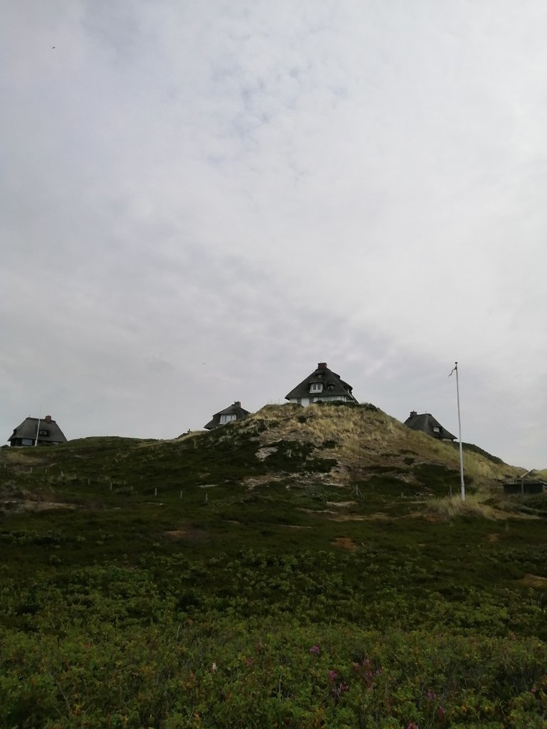 IMG_20190802_111244.jpg
