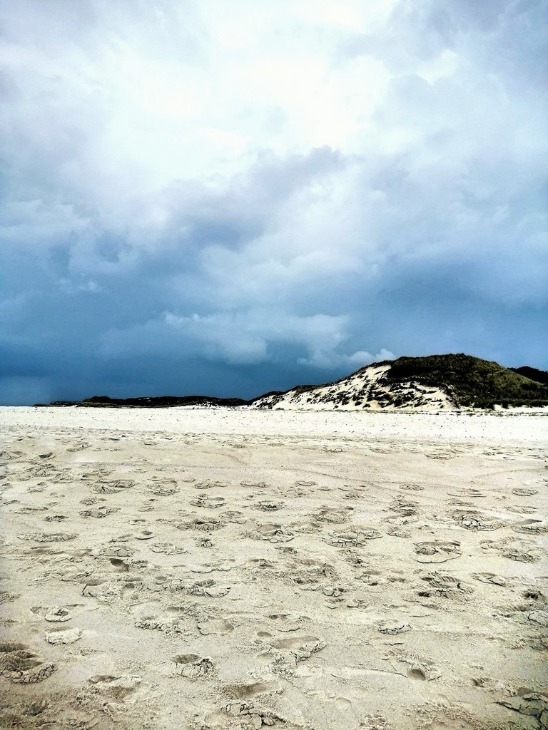 Fotor_156476693976950.jpg