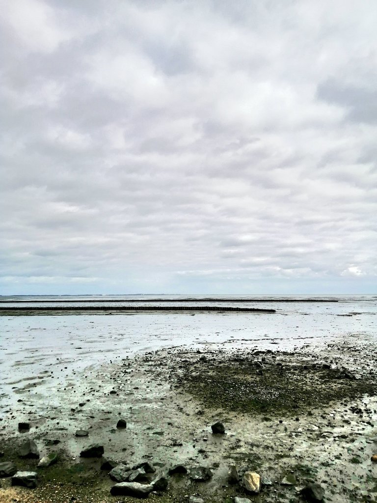 Fotor_156493320980599.jpg