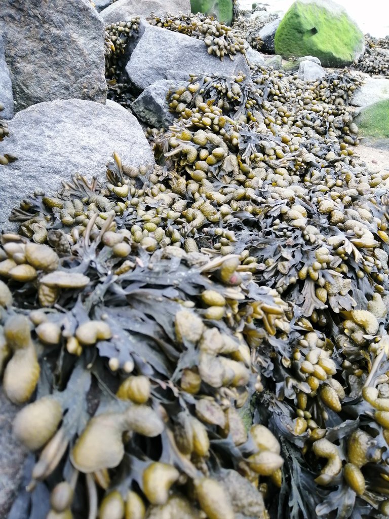 IMG_20190804_105848.jpg