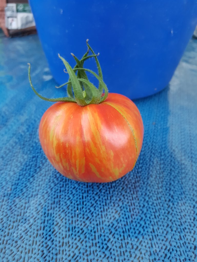 20190830_195446.jpg