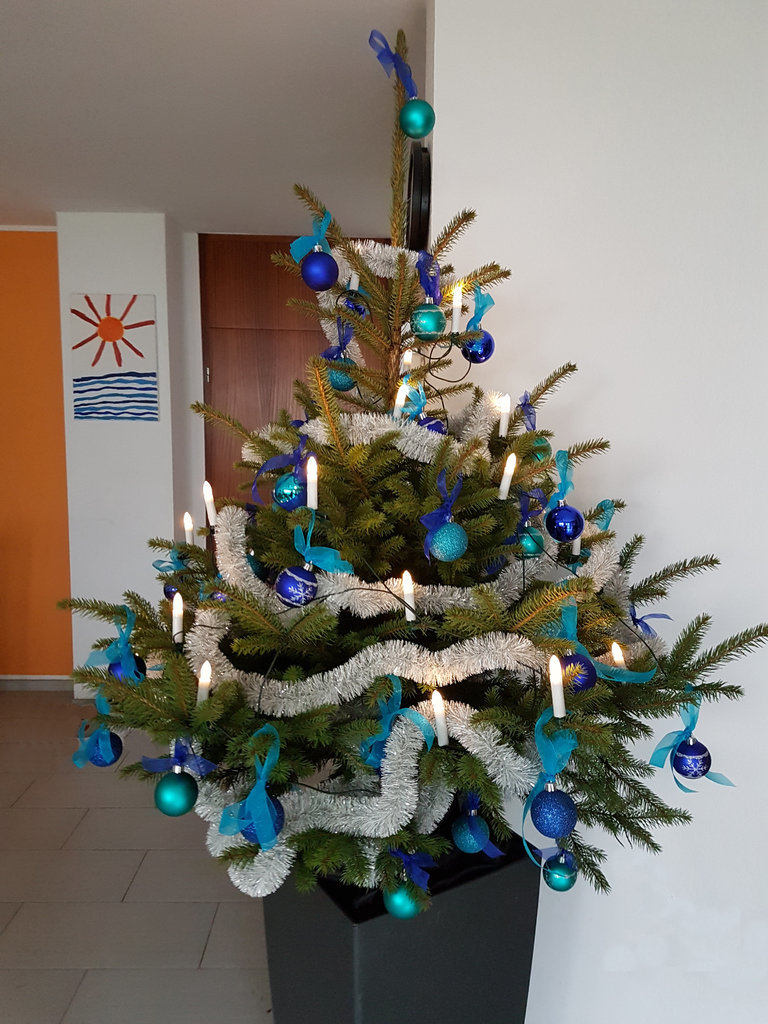 20171211_124726.jpg
