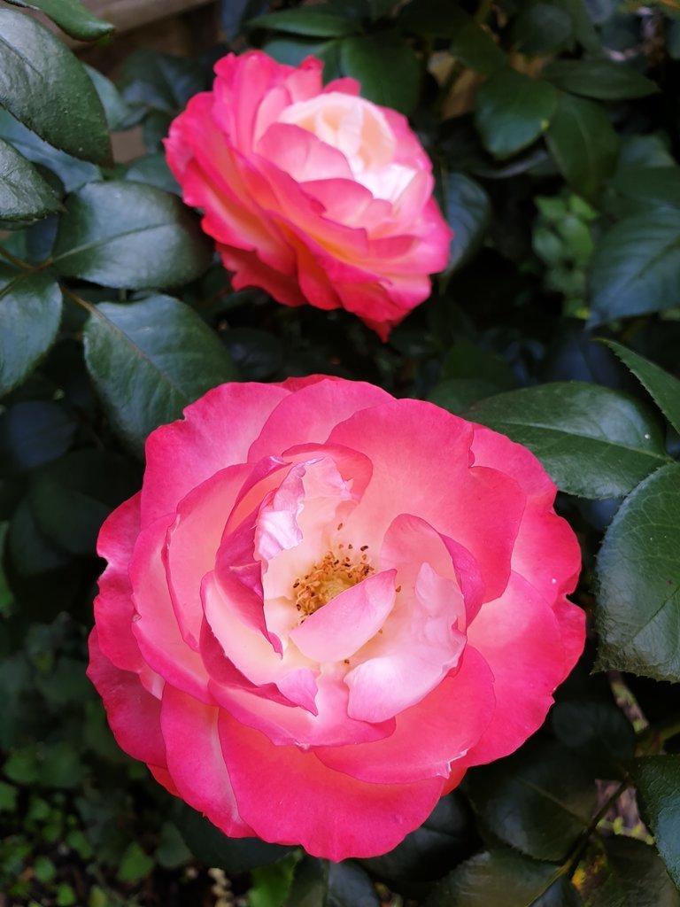 20190905_161854.jpg