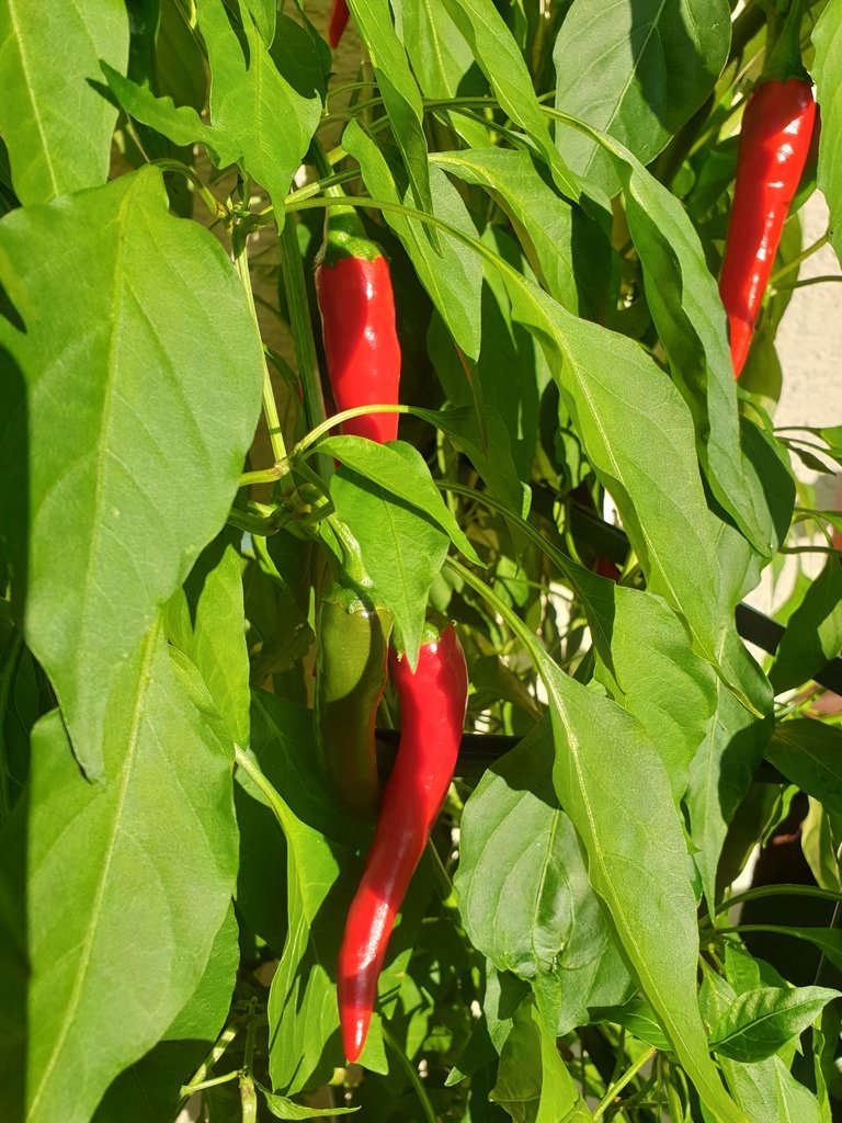 20190923_170608.jpg