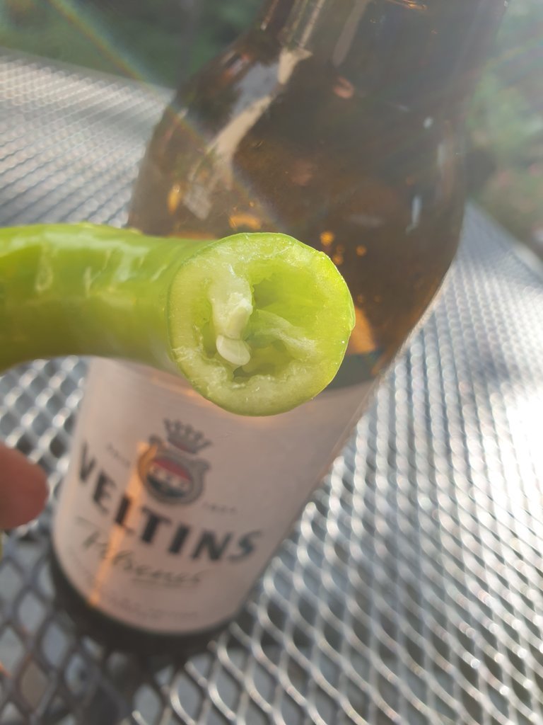 20190923_170403.jpg