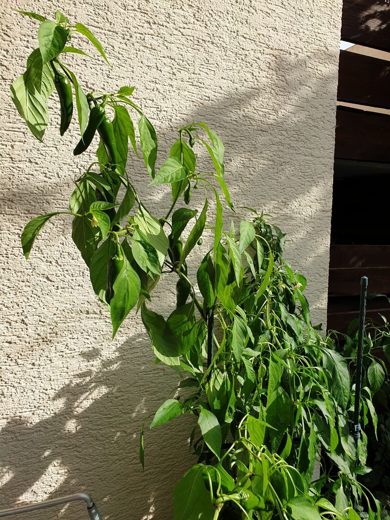 20191020_143645.jpg