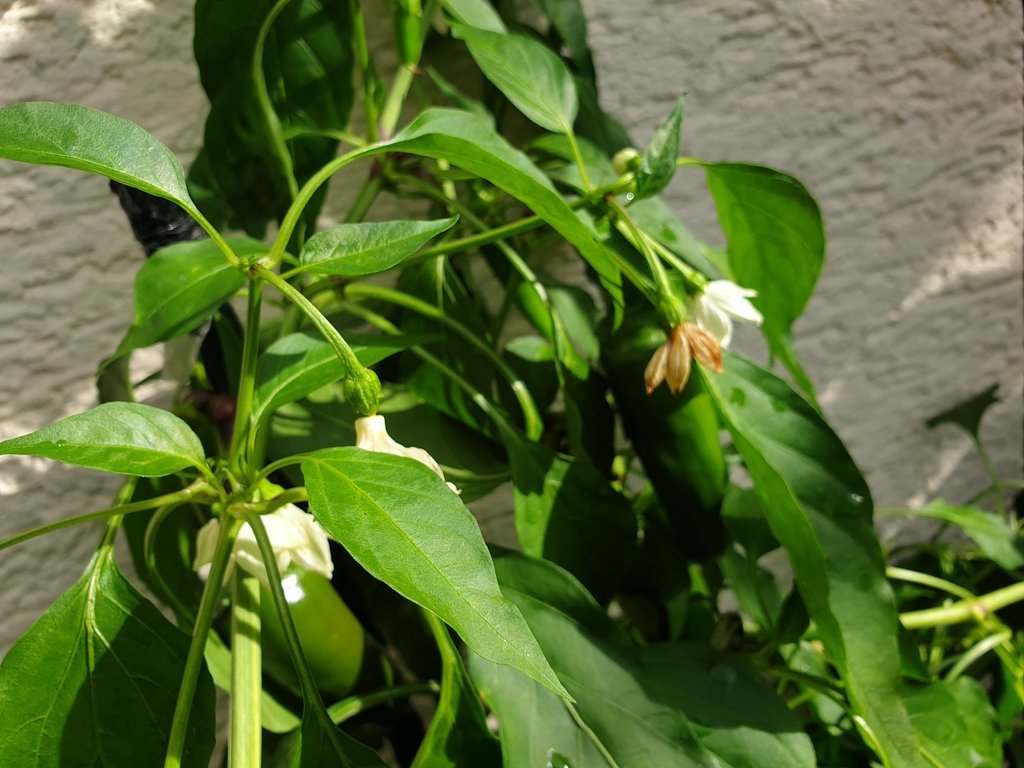 20191020_143653.jpg