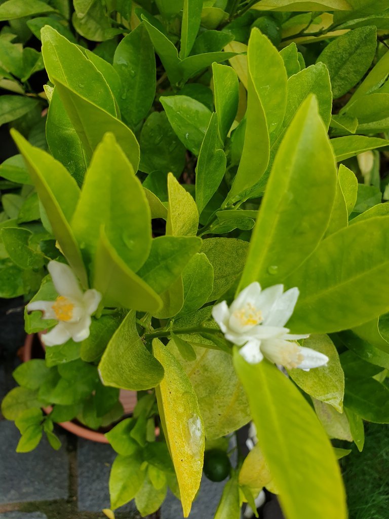 20191020_143702.jpg