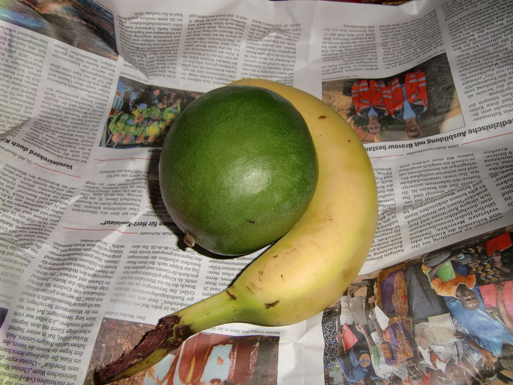 Avocado (5).JPG
