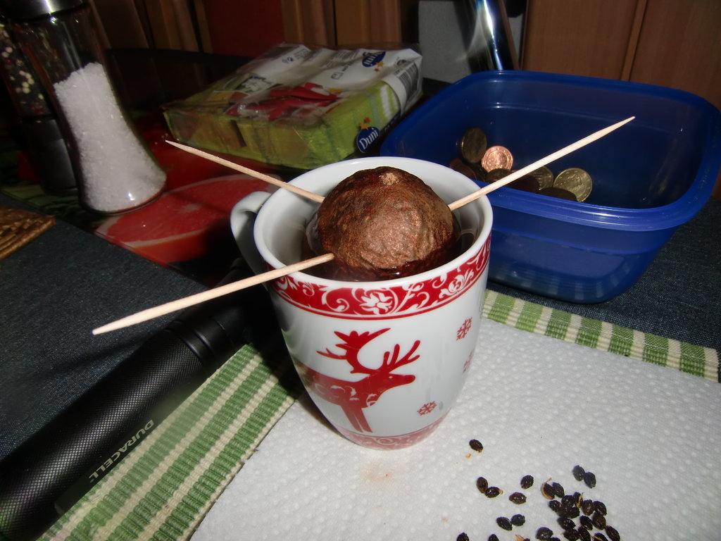 CIMG0071.JPG
