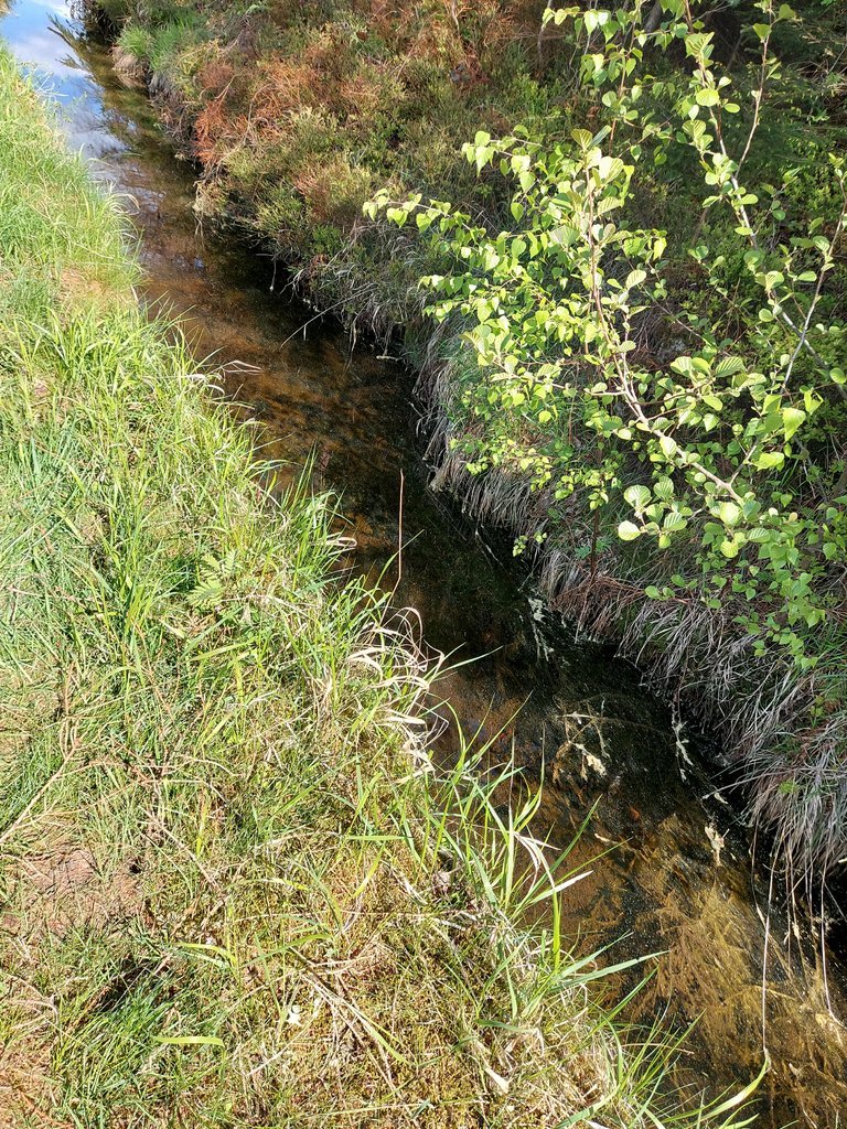 20200517_163329.jpg
