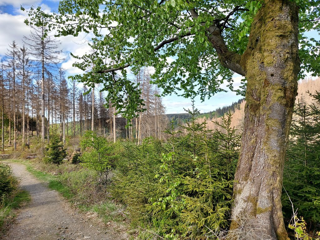 20200517_171239.jpg