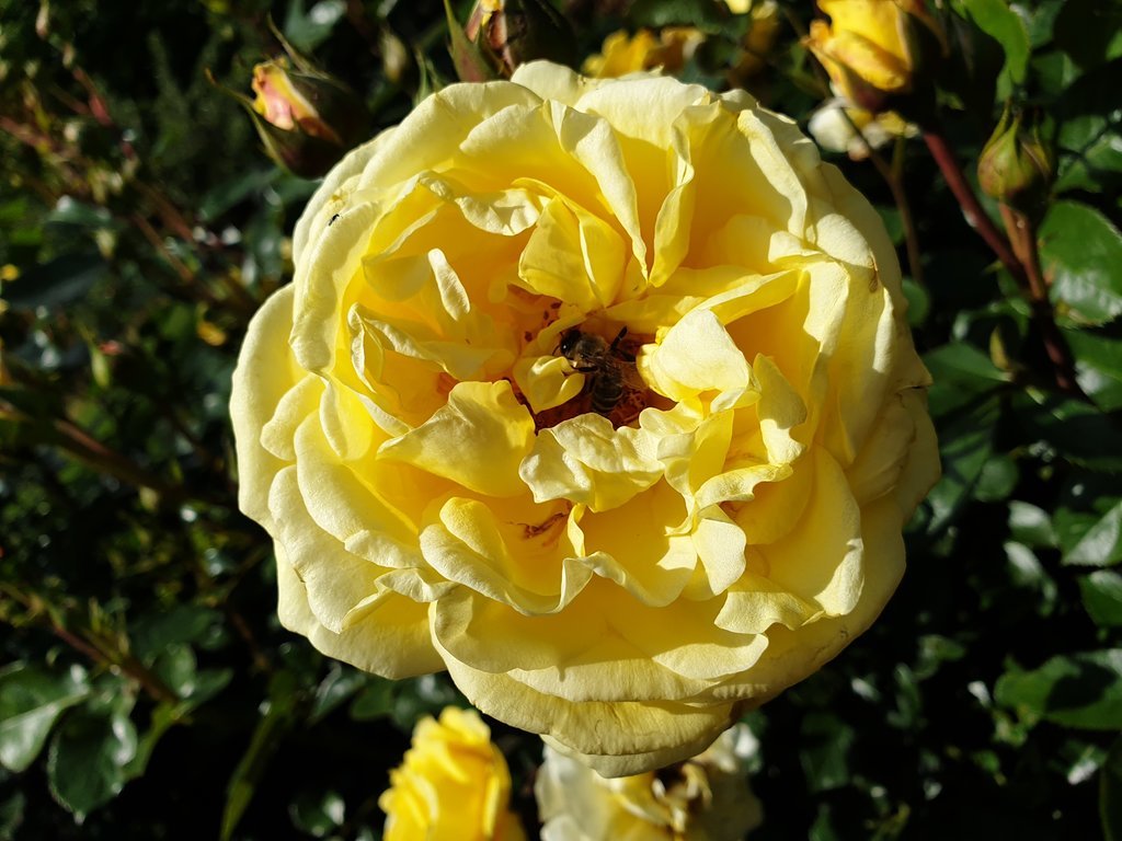 20200621_131649.jpg