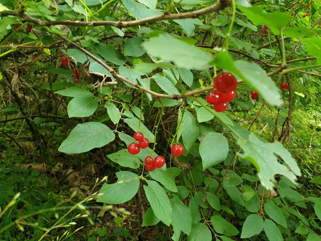 20200705_130045.jpg