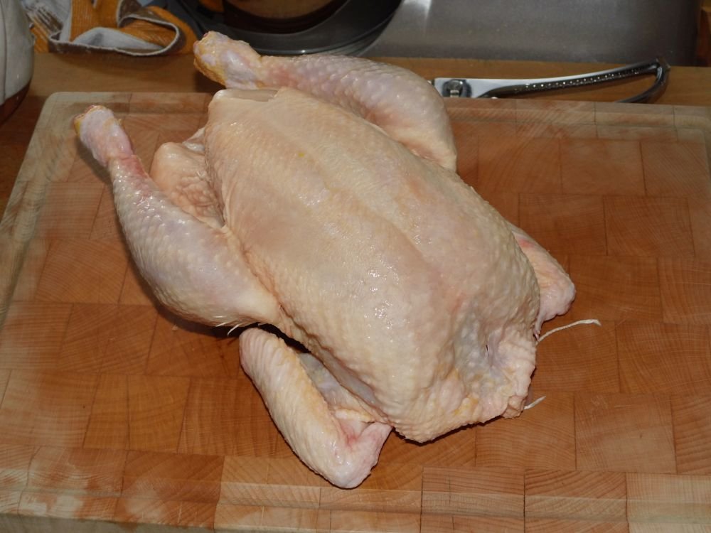 01_Bio-Huhn.jpg
