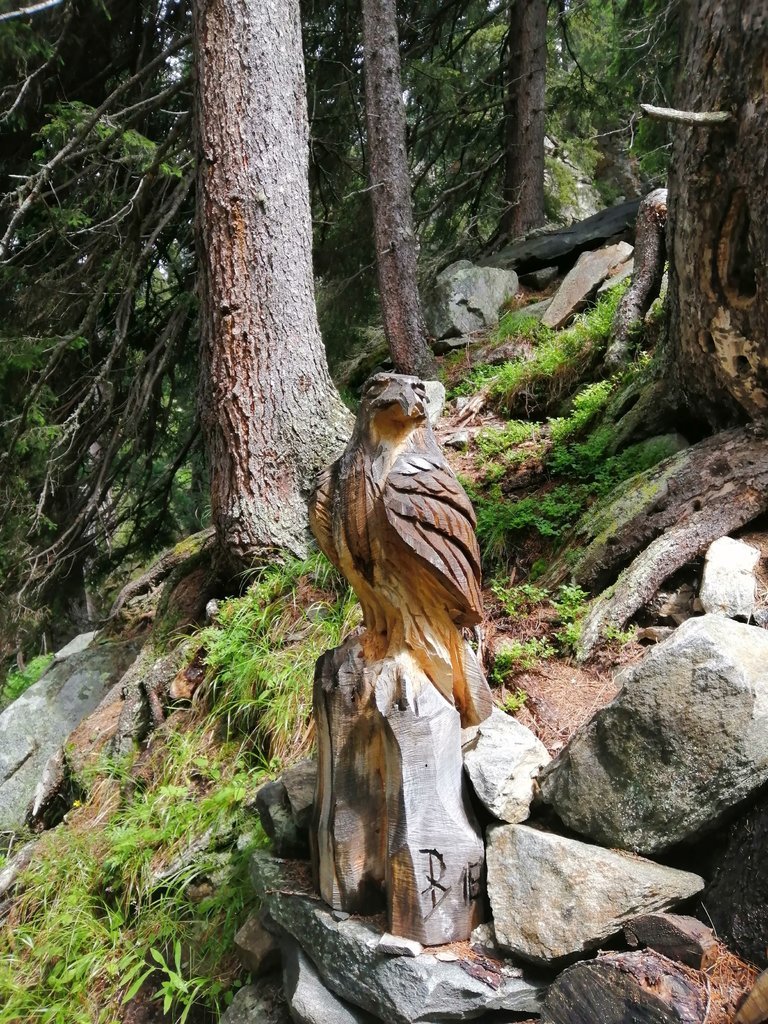 IMG_20200719_121535.jpg