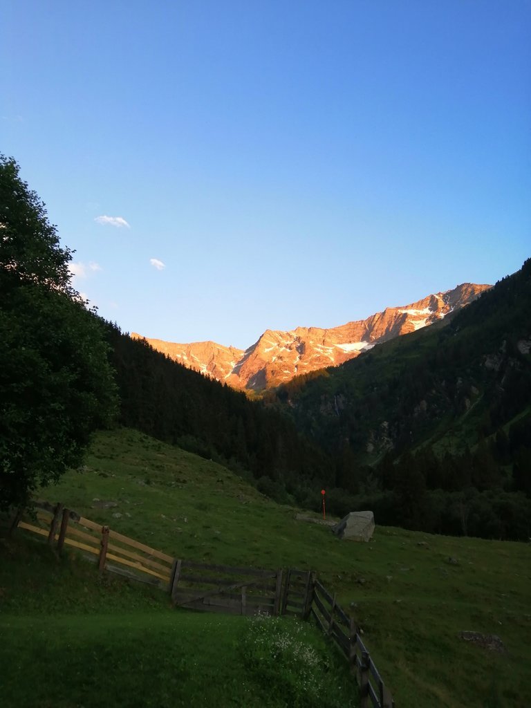 IMG_20200720_203927.jpg