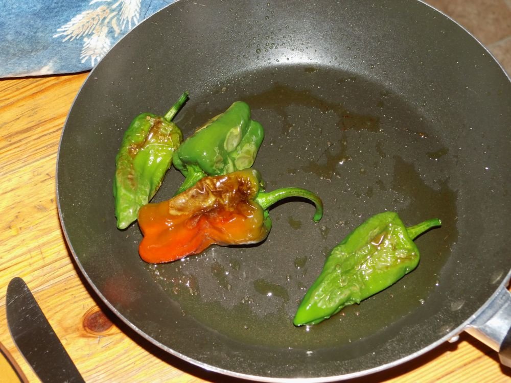 03_Pimento_de_Padron.jpg
