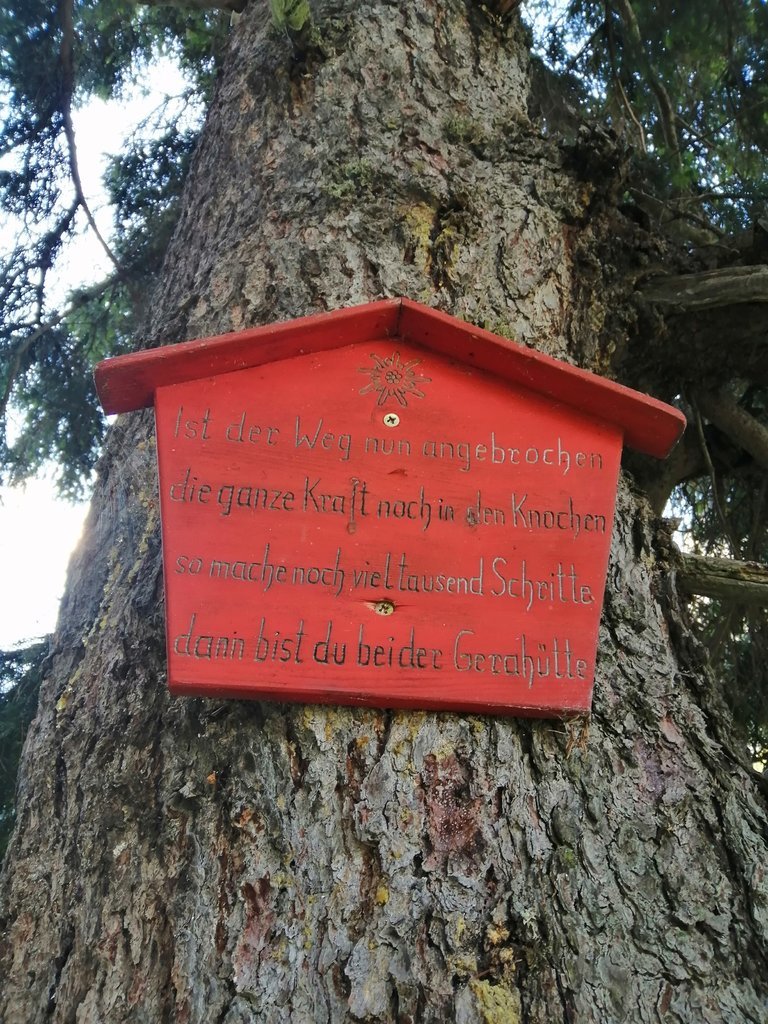 IMG_20200729_085417.jpg