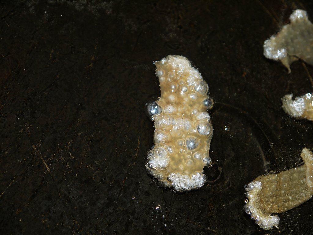k-P1340267.JPG