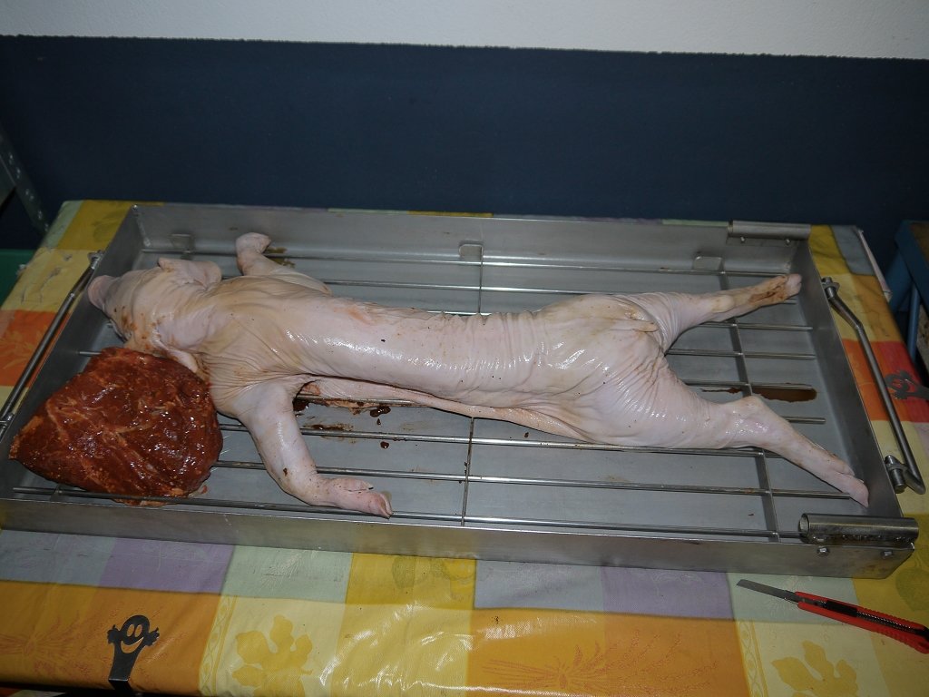k-P1340293.JPG