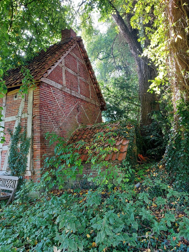 20201002_103431.jpg