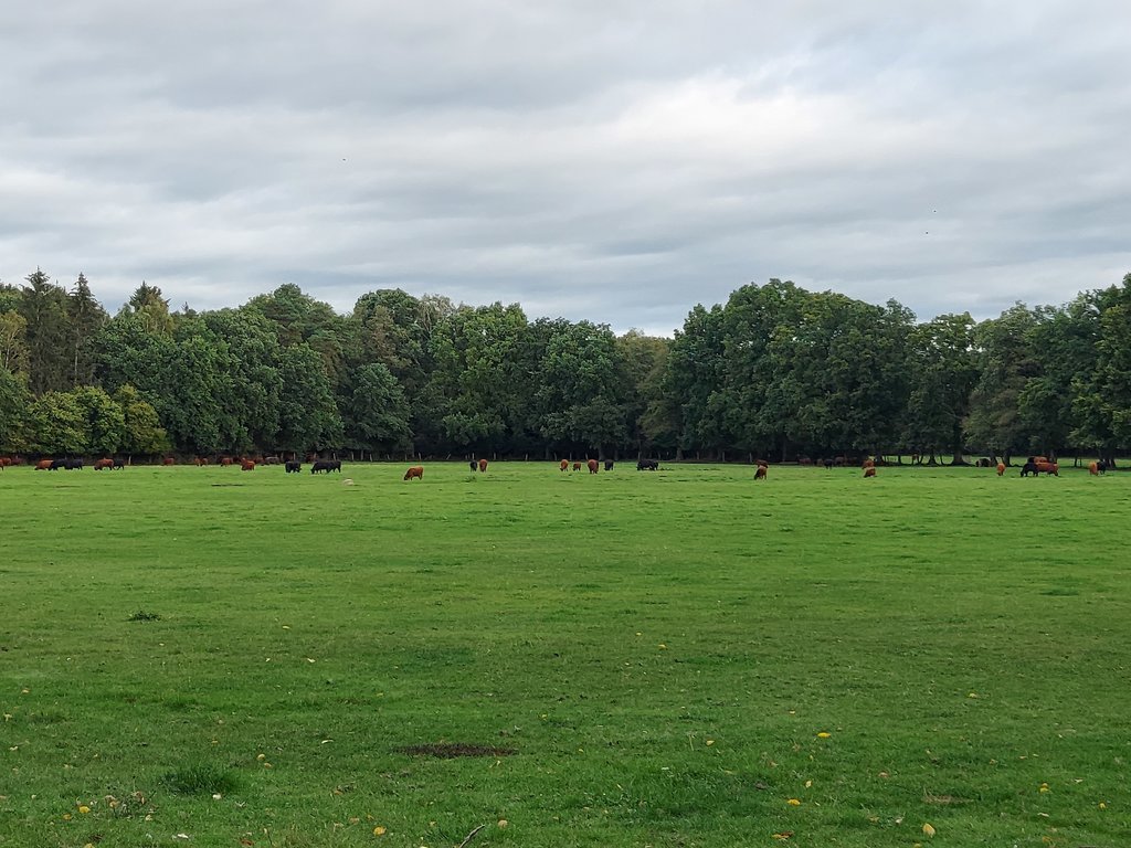 20201004_094017.jpg
