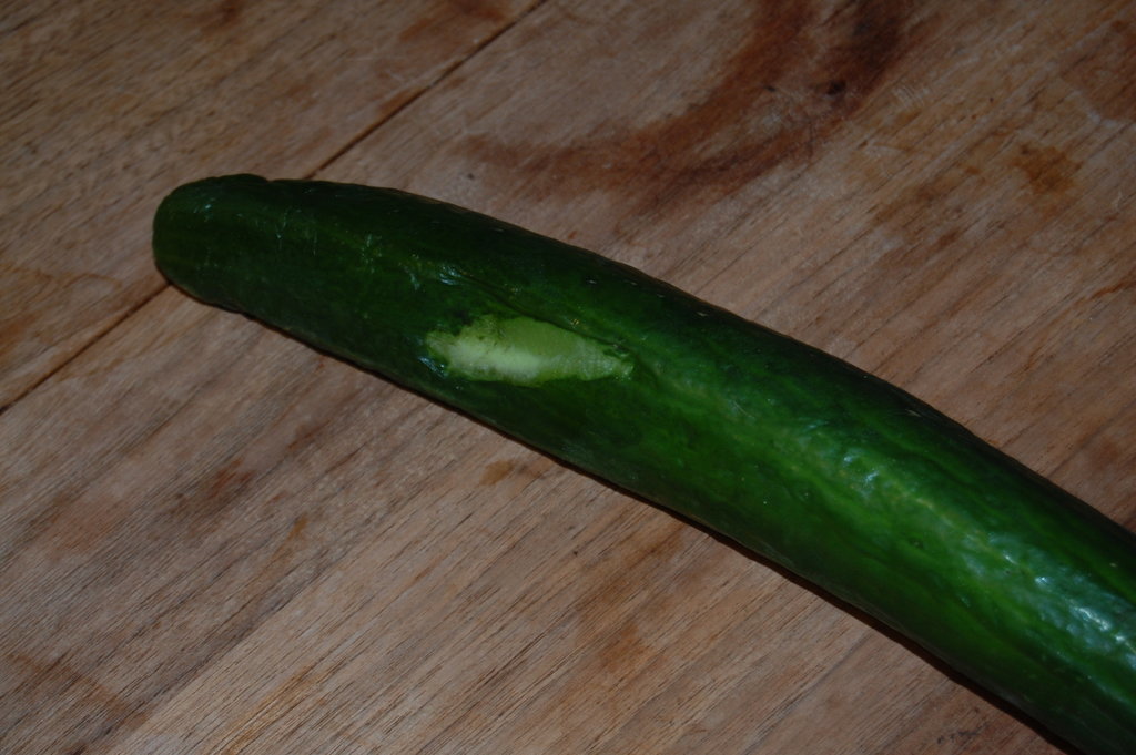 DSC_6666.JPG