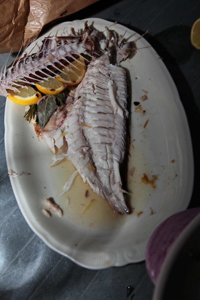 Filet und Hauptgräten.jpg
