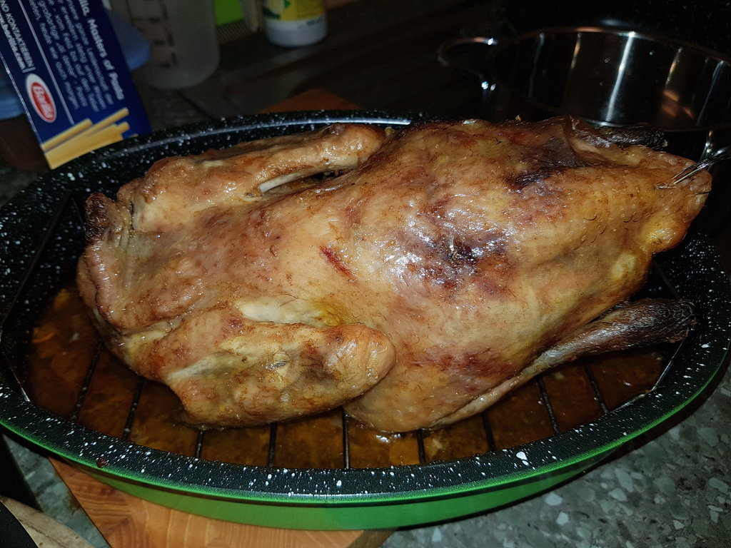 20210120_174313.jpg
