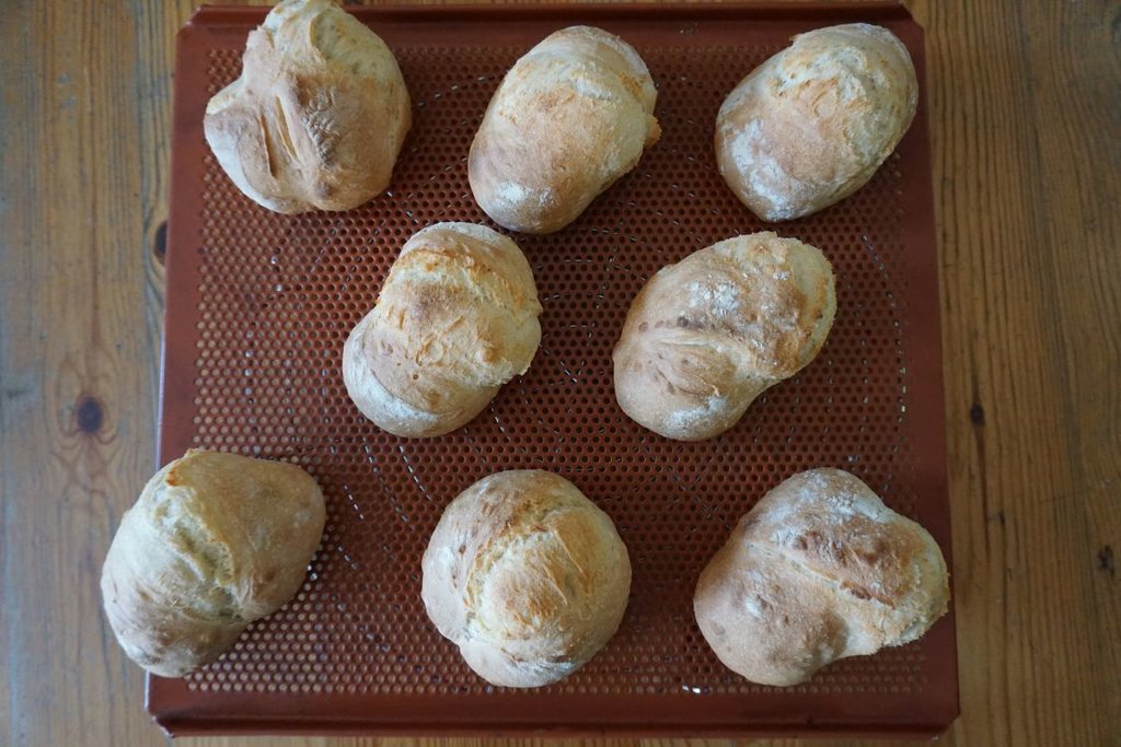 02_gebacken.jpg