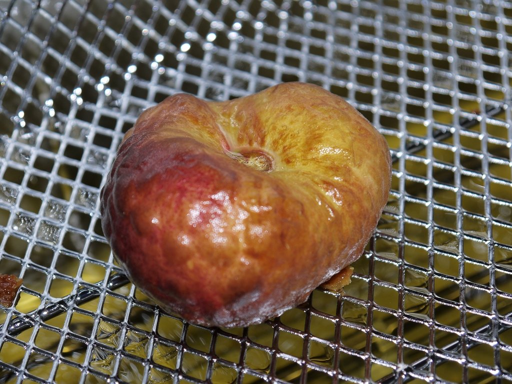 k-P1350595.JPG