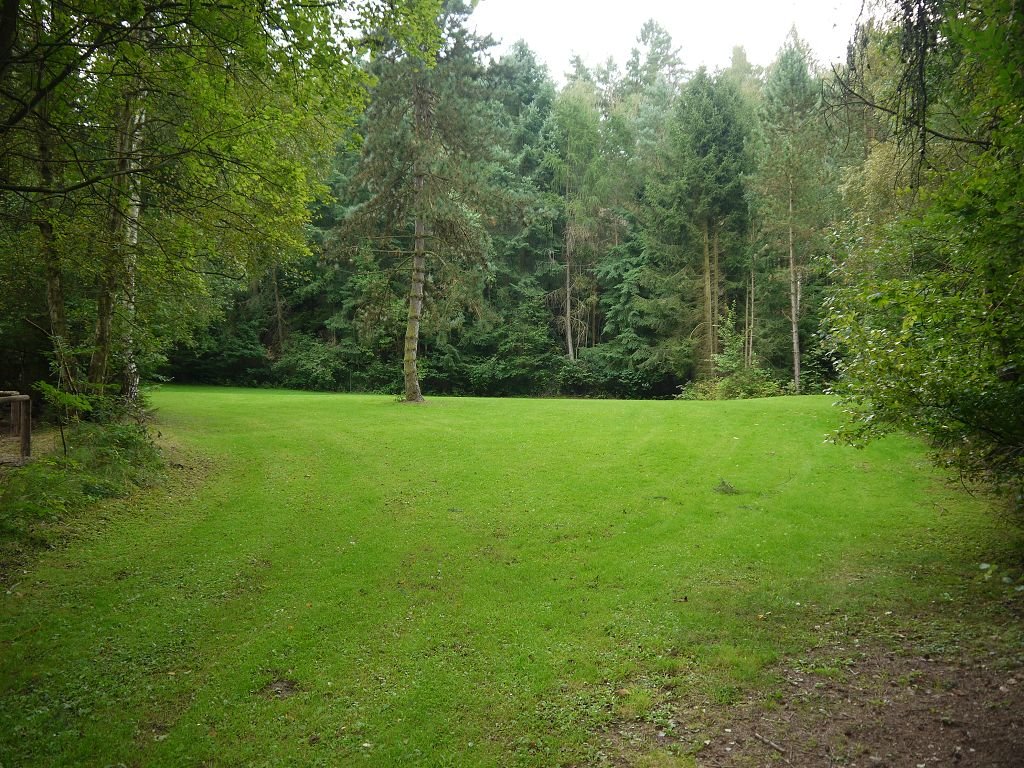k-P1220194.JPG