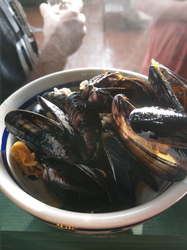 IMAG4499.jpg