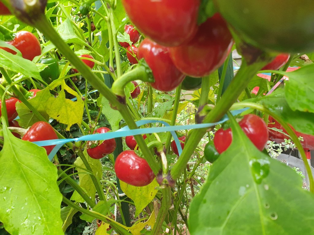 20210926_131131.jpg