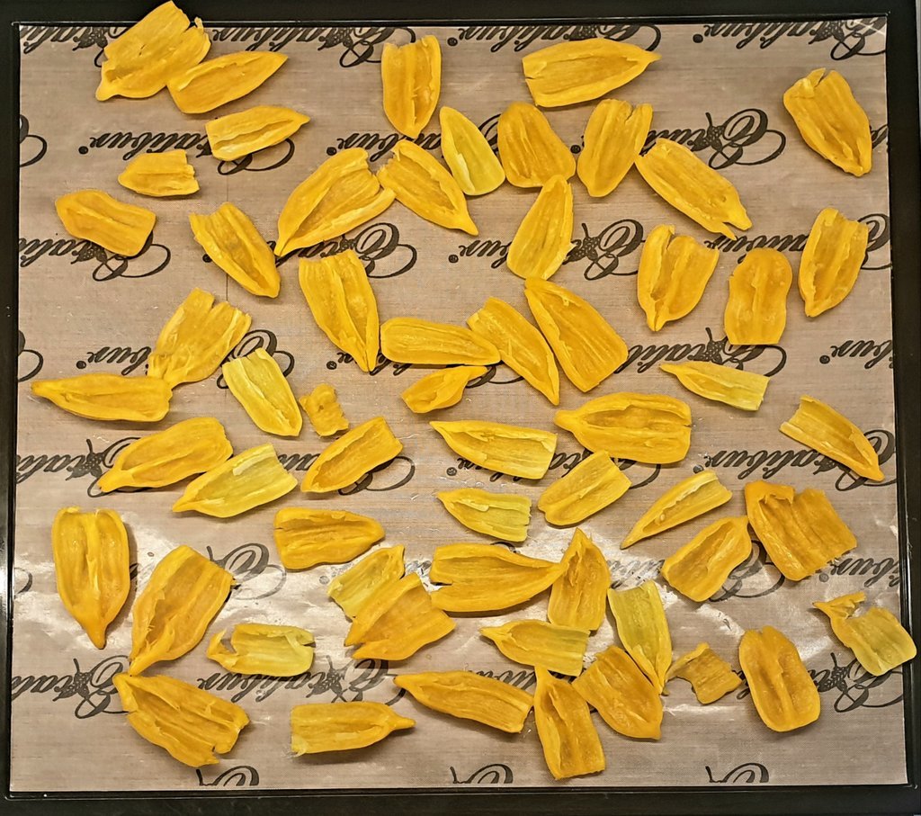 20210928_135416.jpg