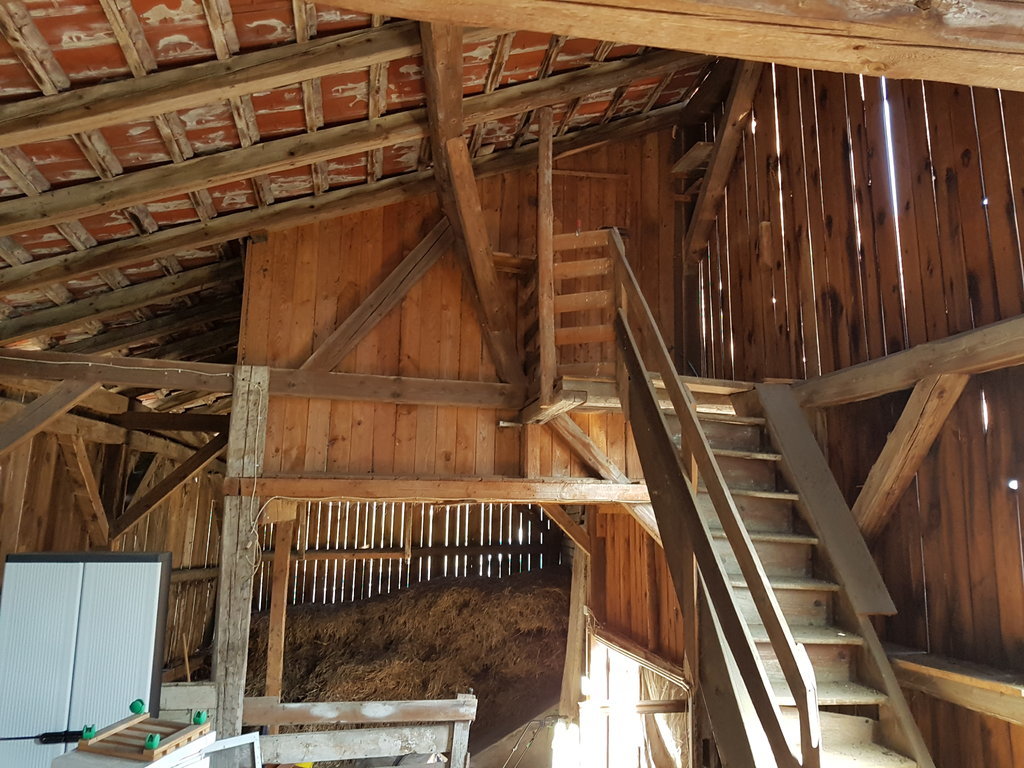 20170326_125612.jpg