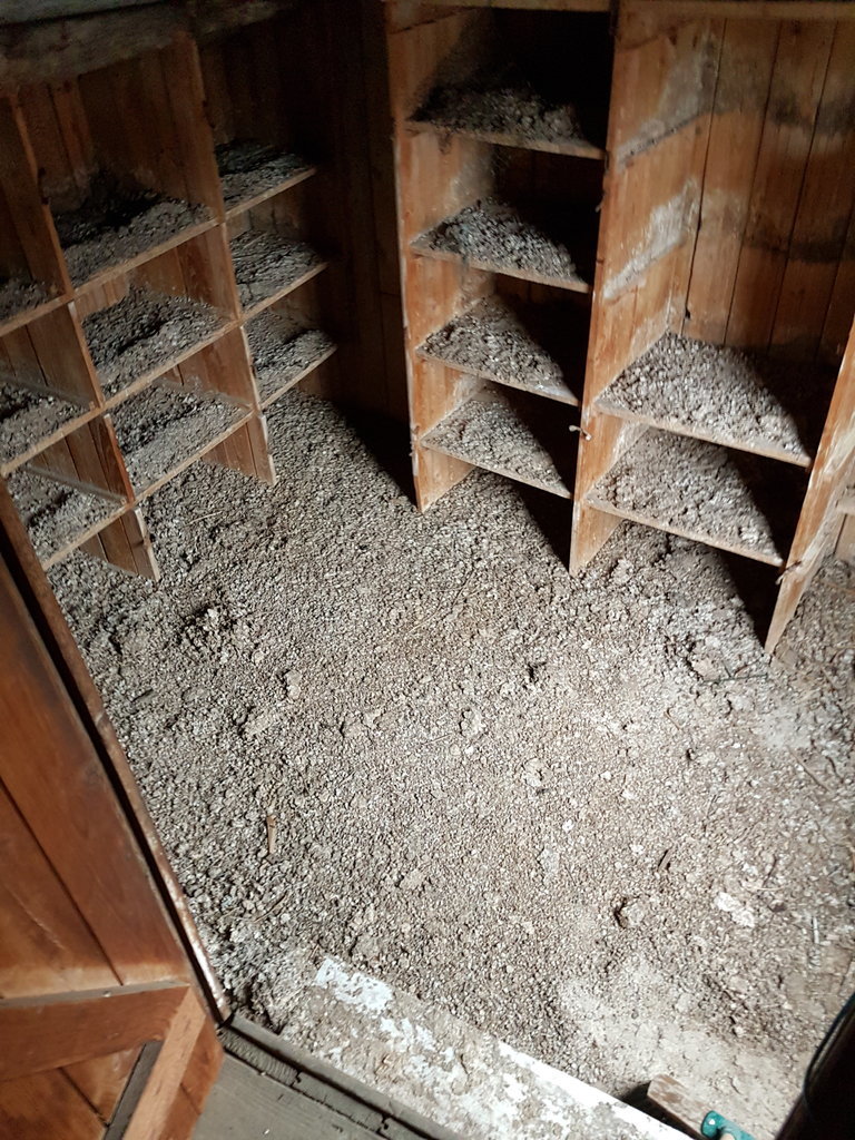 20170422_110746.jpg