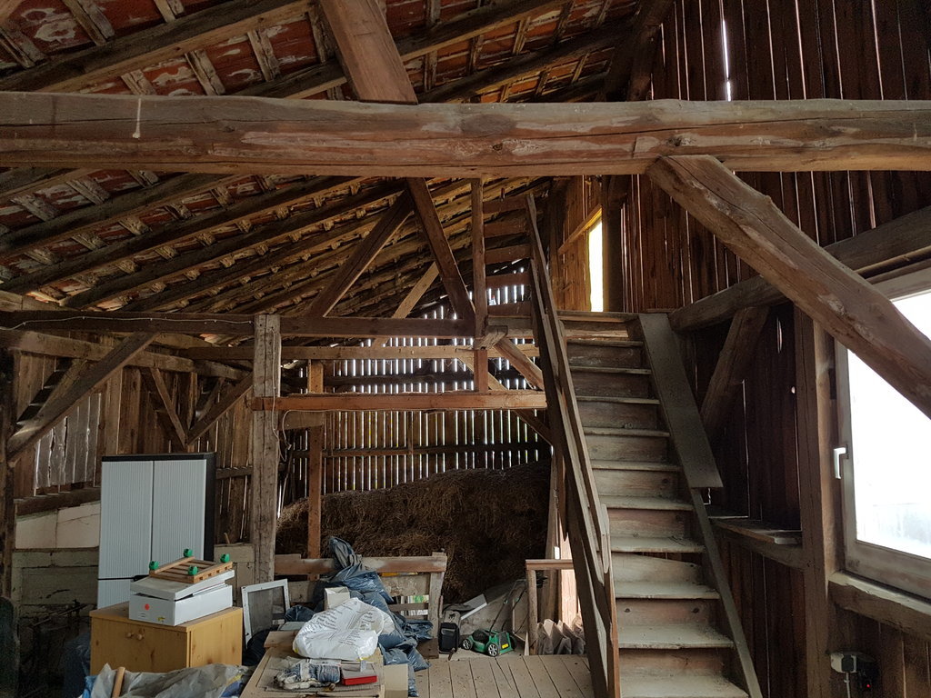 20170428_134446.jpg
