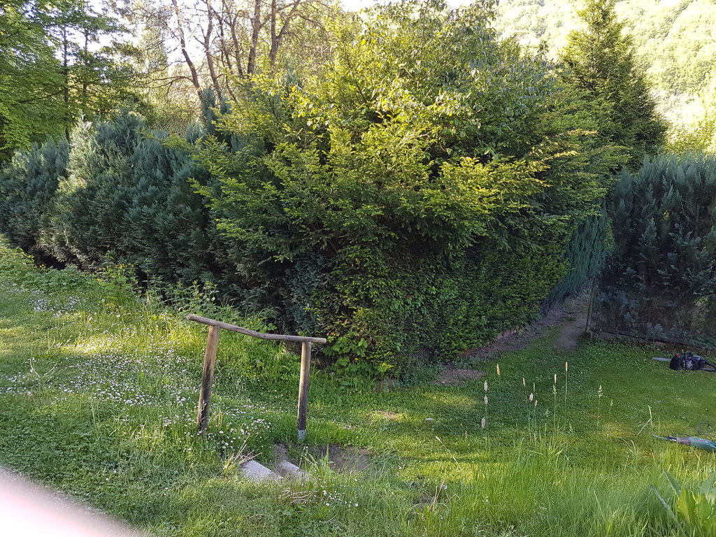 20170516_091427.jpg