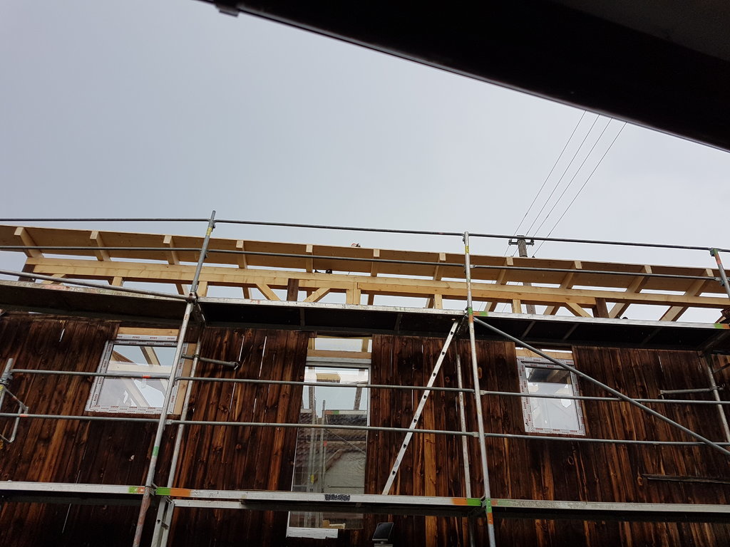 20180608_103431_001.jpg