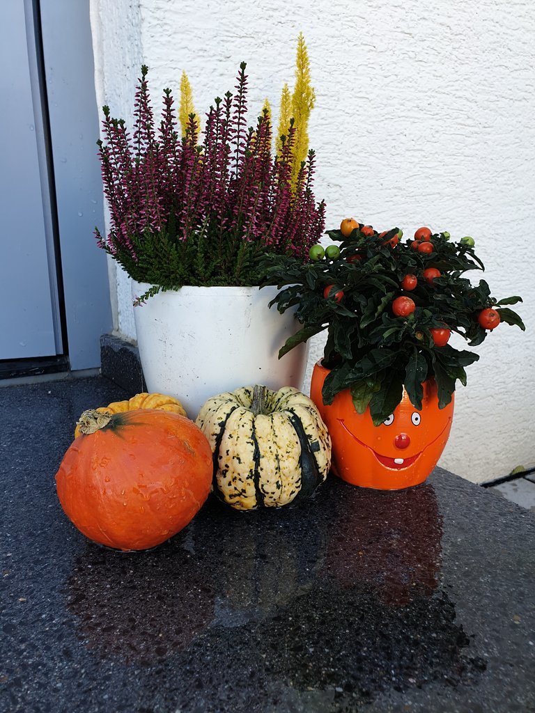 20211023_111558.jpg