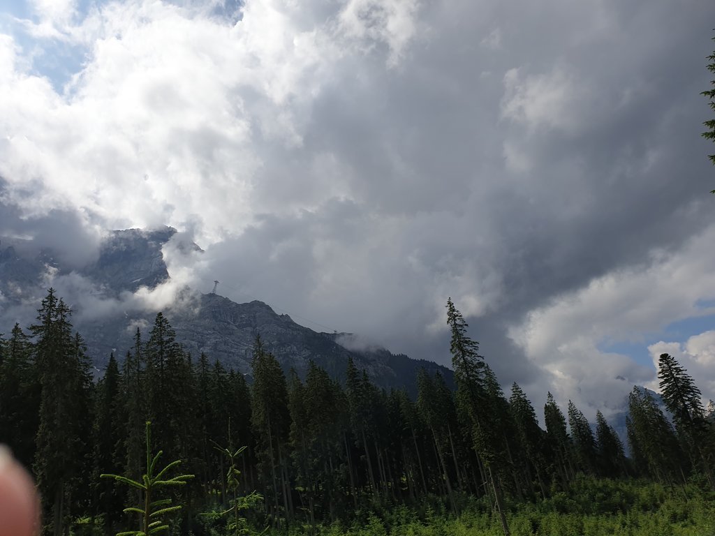 20190714_110513.jpg 20190714_110513.jpg