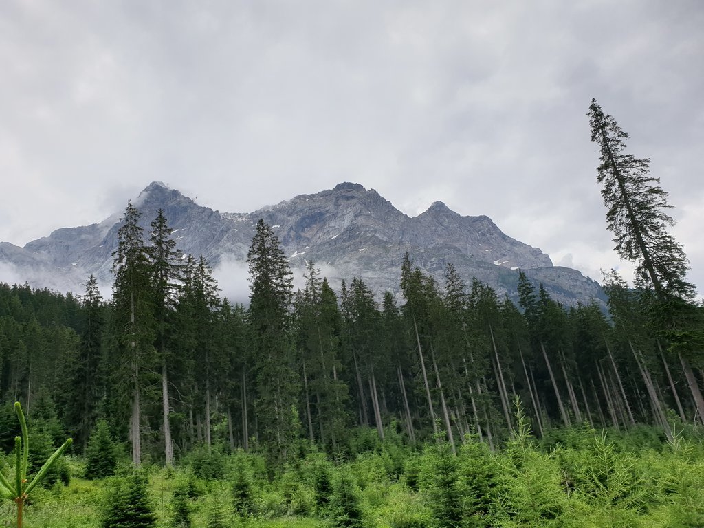 20190714_124318.jpg 20190714_124318.jpg