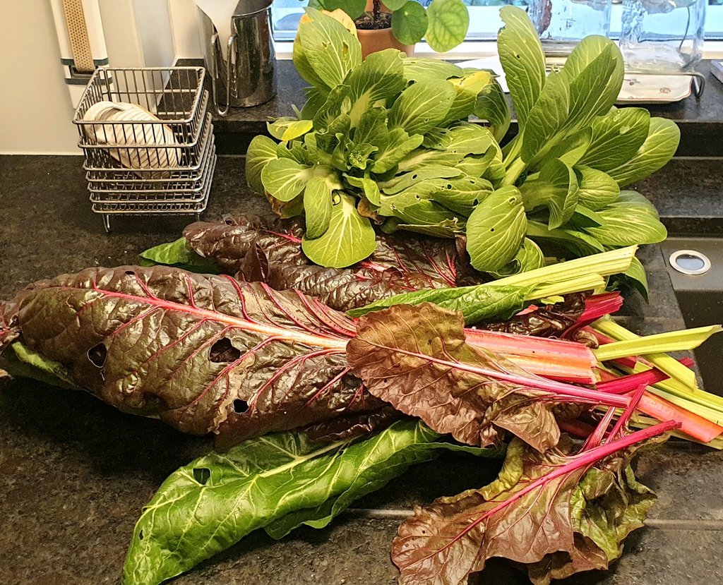 20211219_152237.jpg
