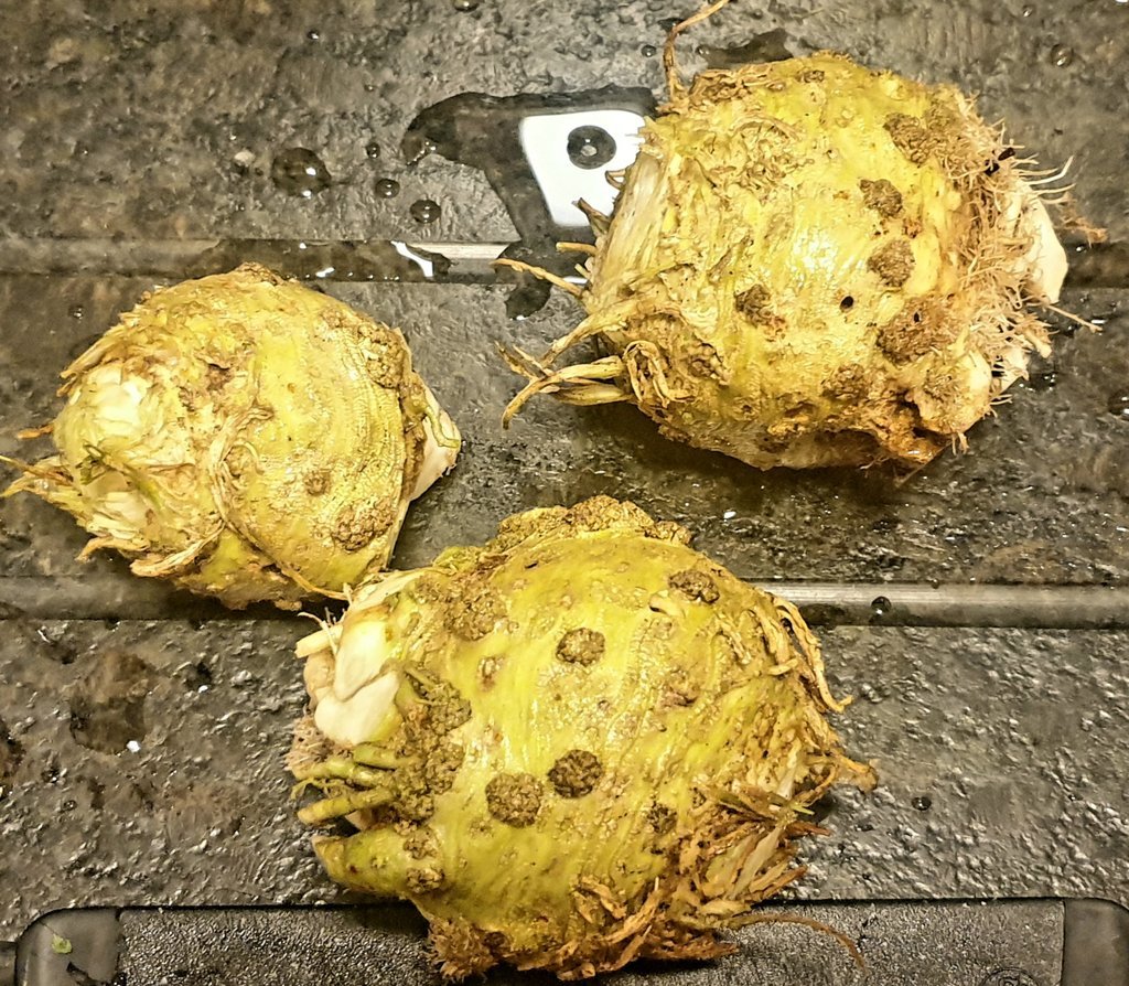 20220124_191005.jpg