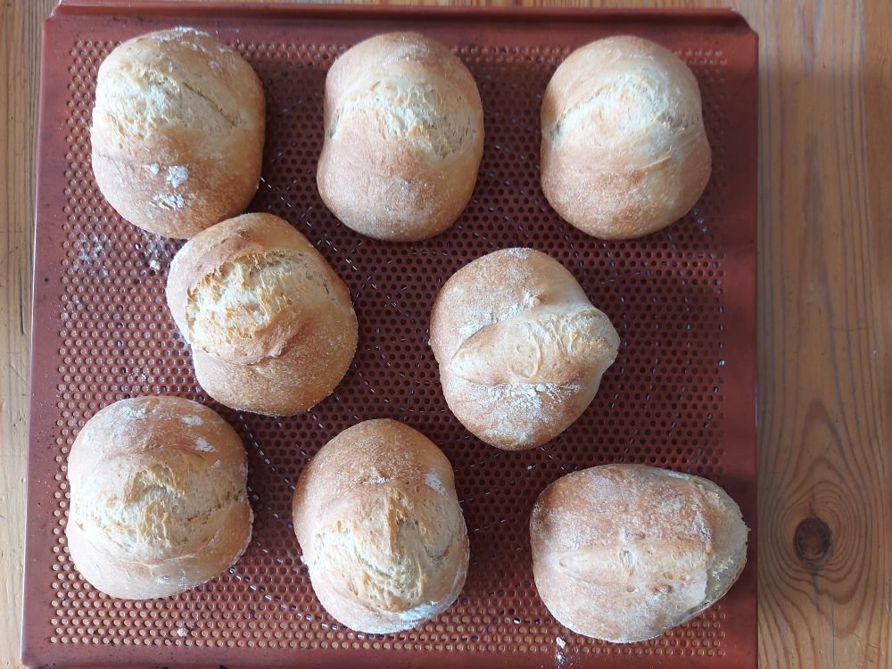 01_Dinkelbrötchen.jpg