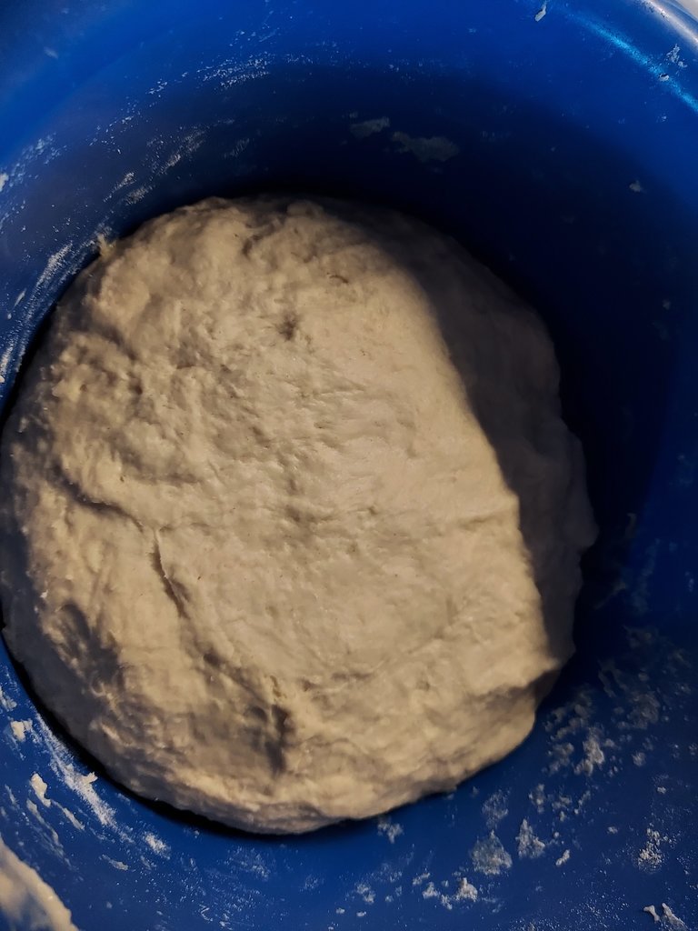 20220520_164126.jpg