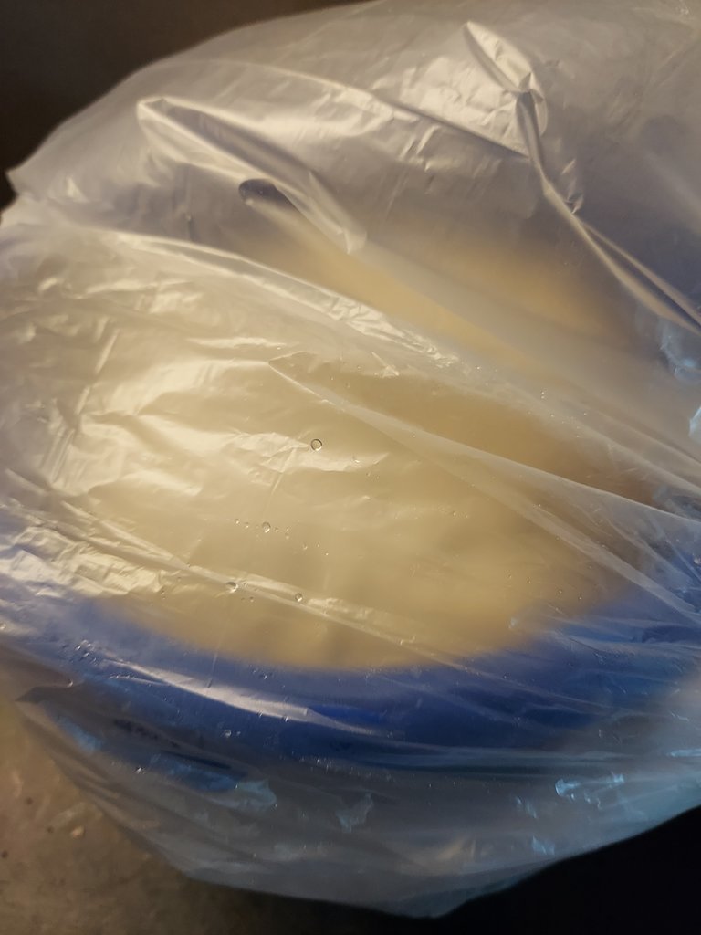 20220520_165808.jpg